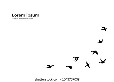 Vector template design with silhouettes of flock of birds. Banner with black isolated flat contour of flying birds and text place. Design element for logo, print, card, flyer, fabric, poster.