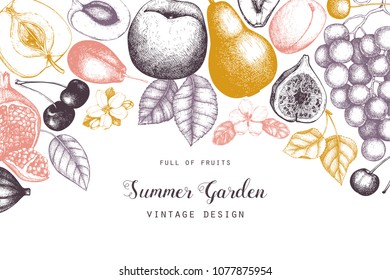 Vector template desin. Hand drawn  fruits  illustrations. Fig, apple, pear,  peach, apricot, persimmon, pomegranate, quince, grapes drawing. Sketched style frame.