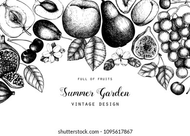 Vector template desin. Hand drawn  fruits  illustrations. Fig, apple, pear,  peach, apricot, persimmon, pomegranate, quince, grapes drawing. Sketched style frame