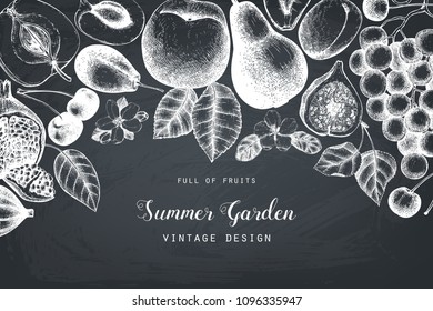 Vector template desin. Hand drawn  fruits  illustrations. Fig, apple, pear,  peach, apricot, persimmon, pomegranate, quince, grapes drawing. Sketched style frame on chalkboard