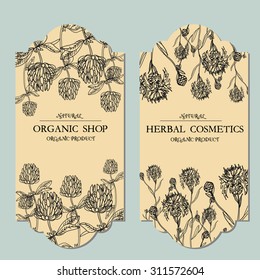 Vector template floral Label  with hand-draw wild flowers and herbs. Layout, mockup design for cosmetics, store, beauty salon, natural and organic products