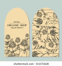 Vector template floral Label  with hand-draw wild flowers and herbs. Layout, mockup design for cosmetics, store, beauty salon, natural and organic products