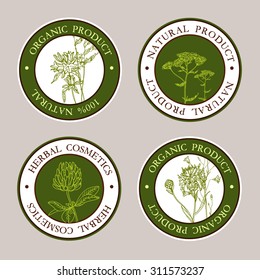 Vector template floral Label with hand-draw wild flowers and herbs. Layout, mockup design for cosmetics, store, pharmacy, natural and organic products