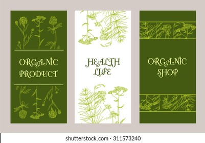 Vector template floral Label with hand-draw wild flowers and herbs. Layout, mockup design for cosmetics, store, pharmacy, natural and organic products
