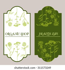 Vector template floral Label with hand-draw wild flowers and herbs. Layout, mockup design for cosmetics, store, pharmacy, natural and organic products