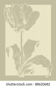 Vector template frame design for greeting card.