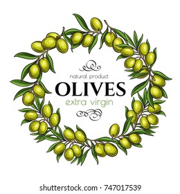 Vector template frame page design with branches olives for farmers market packaging . Illustration in ink sketch retro style