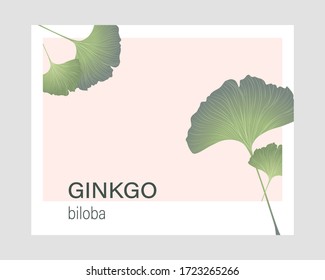 Vector template with ginkgo biloba leaves. 