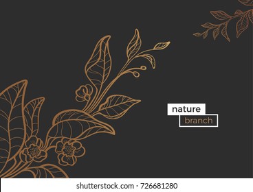 Vector template of golden art line branches. Shape vintage illustration of leaves and flowers. Nature collection on dark background. Botanical realistic drawing. Organic food Eps.10