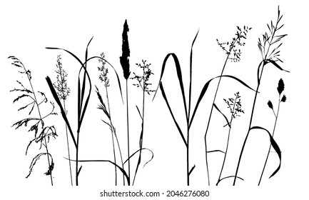 Vector template with grass and plants monochrome silhouettes, floral background