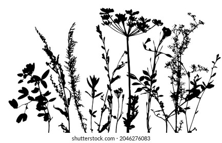 Vector template with grass and plants monochrome silhouettes, floral background