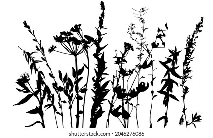 Vector template with grass and plants monochrome silhouettes, floral background