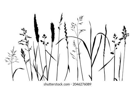 Vector template with grass and plants monochrome silhouettes, floral background