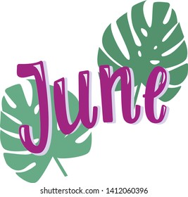 Vector Template Hand Draw Lettering With Tropical Leaves On Fon. Design For Banner, Greeting Cards Or Print.