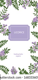 Vector template with hand drawn herbs. Can be used for natural health care products or postcard