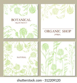 Vector template with hand-draw wild flowers and herbs. Layout, mockup design for cosmetics, store, label, natural and organic products