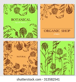 Vector template with hand-draw wild flowers and herbs. Layout, mockup design for cosmetics, store, label, natural and organic products