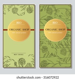 Vector template with hand-draw wild flowers and herbs. Layout, mockup design for cosmetics, store, label, natural and organic products