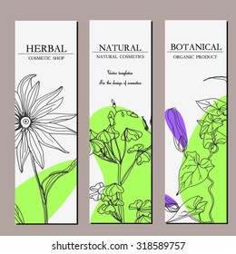 Vector template with hand-draw wild flowers and herbs. Layout/ Mockup design for beauty salon, spa, cosmetics, store, label, natural and organic products