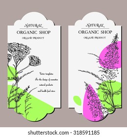Vector template with hand-draw wild flowers and herbs. Layout/ Mockup design for beauty salon, spa, cosmetics, store, label, natural and organic products