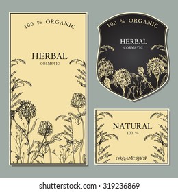 Vector template with hand-draw wild flowers and herbs. Layout, mockup design for cosmetics, store, label, natural and organic products