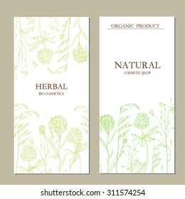 Vector template herbal Label with hand-draw wild flowers and herbs. Layout, mockup design for cosmetics, store, pharmacy, natural and organic products