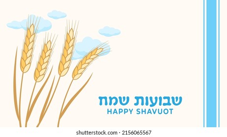 Vector template for Jewish holiday Shavuot with golden wheat ears and text Happy Shavuot in Hebrew