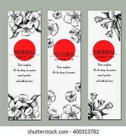 Vector template label with hand-draw spring flowers/Flowering branches. Layout, mockup design for cosmetics, store, natural and organic products. Spring background