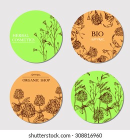 Vector template label with hand-draw wild flowers and herbs. Layout, mockup design for cosmetics, store, natural and organic products