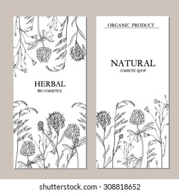 Vector template label with hand-draw wild flowers and herbs. Layout, mockup design for cosmetics, store,  natural and organic products