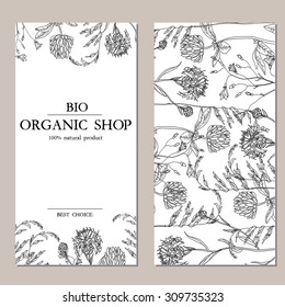 Vector template label with hand-draw wild flowers and herbs. Layout, mockup design for cosmetics, store, natural and organic products