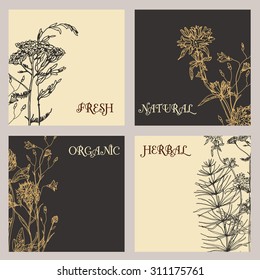 Vector template label with hand-draw wild flowers and herbs. Layout, mockup design for cosmetics, store, beauty salon, natural and organic products