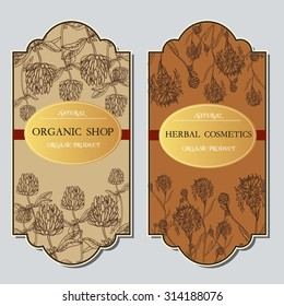 Vector template Label with hand-draw wild flowers and herbs. Layout, mockup design for cosmetics, store, label, natural and organic products