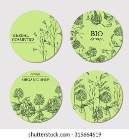 Vector template Label with hand-draw wild flowers and herbs. Layout, mockup design for cosmetics, store, label, natural and organic products