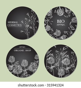 Vector template Label with hand-draw wild flowers and herbs. Layout, mockup design for cosmetics, store, label, natural and organic products