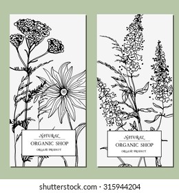 Vector template Label with hand-draw wild flowers and herbs. Layout/ Mockup design for beauty salon, spa, cosmetics, store, label, natural and organic products