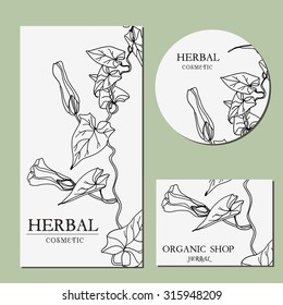 Vector template Label with hand-draw wild flowers and herbs. Layout/ Mockup design for beauty salon, spa, cosmetics, store, label, natural and organic products