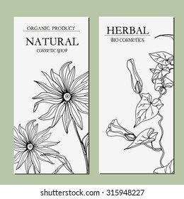 Vector template Label with hand-draw wild flowers and herbs. Layout/ Mockup design for beauty salon, spa, cosmetics, store, label, natural and organic products
