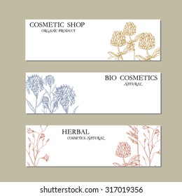 Vector template Label with hand-draw wild flowers and herbs. Layout, mockup design for cosmetics, store, spa, label, natural and organic products