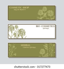 Vector template label with hand-draw wild flowers and herbs. Layout, mockup design for cosmetics, store, label, natural and organic products