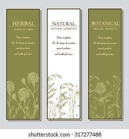 Vector template label with hand-draw wild flowers and herbs. Layout, mockup design for cosmetics, store, label, natural and organic products