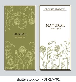 Vector template label with hand-draw wild flowers and herbs. Layout, mockup design for cosmetics, store, label, natural and organic products