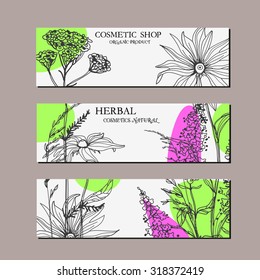 Vector template label with hand-draw wild flowers and herbs. Layout, mockup design for cosmetics, store, spa, label, natural and organic products