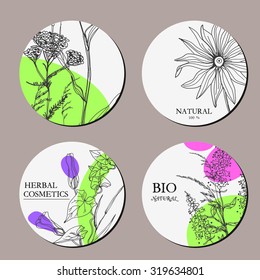 Vector template label with hand-draw wild flowers and herbs. Layout/ Mockup design for beauty salon, spa, cosmetics, store, label, natural and organic products