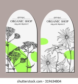 Vector template label with hand-draw wild flowers and herbs. Layout/ Mockup design for beauty salon, spa, cosmetics, store, label, natural and organic products