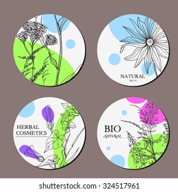 Vector template label with hand-draw wild flowers and herbs. Layout/ Mockup design for beauty salon, spa, cosmetics, store, label, natural and organic products