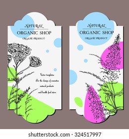Vector template label with hand-draw wild flowers and herbs. Layout/ Mockup design for beauty salon, spa, cosmetics, store, label, natural and organic products