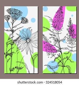 Vector template label with hand-draw wild flowers and herbs. Layout/ Mockup design for beauty salon, spa, cosmetics, store, label, natural and organic products