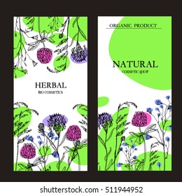 Vector template label with hand-draw wild flowers and herbs. Layout, mockup design for cosmetics, store, natural and organic products