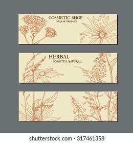 Vector template Labels with hand-draw wild flowers and herbs. Layout/ Mockup design for beauty salon, spa, cosmetics, store, label, natural and organic products